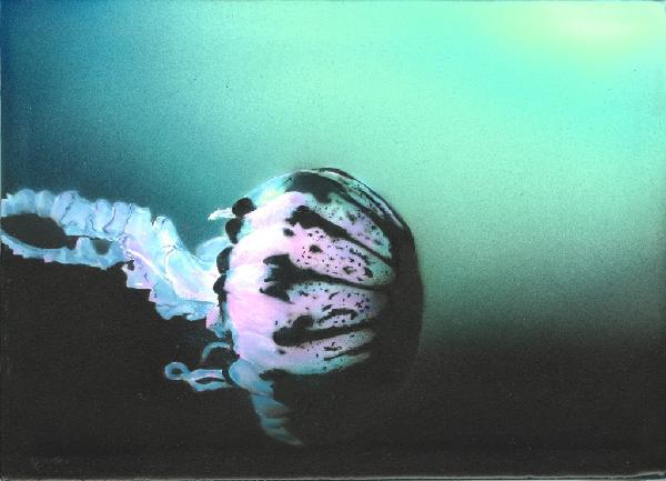Jellyfish