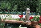 Shermie - Sherman Gardens