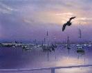 Lido Early Morning - Newport Beach