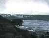 Stormy Flight - Newport Beach
