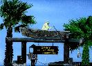 Dory Fleet - Newport Beach