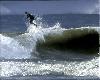 Surf's Up - Newport Beach